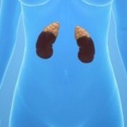 Adrenal Disease related image